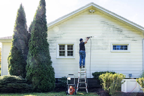 Best House Pressure Washing  in Brock Hall, MD