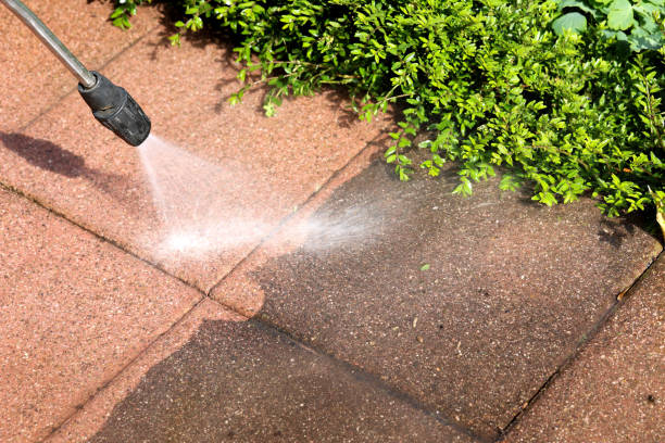 Best Pressure Washing Company Near Me  in Brock Hall, MD