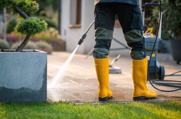 Best Exterior Home Cleaning  in Brock Hall, MD